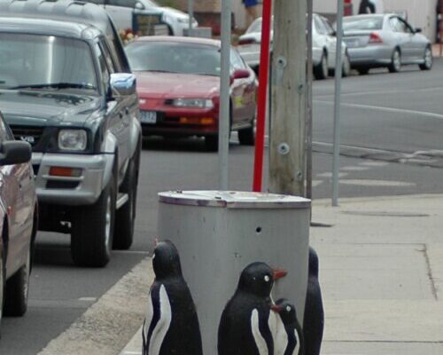 Penguin Australia (AU)