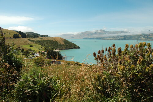 Rapaki New Zealand (NZ)