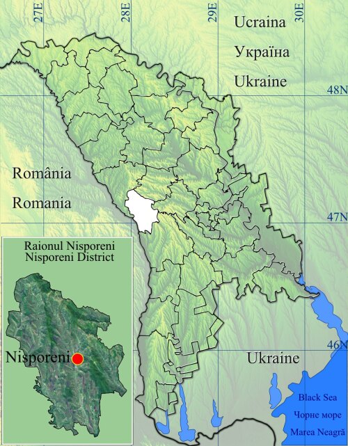 Bursuc Moldova (MD)