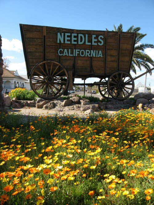 Needles United States (US)