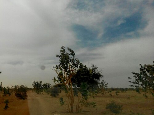 Abalak Niger (NE)