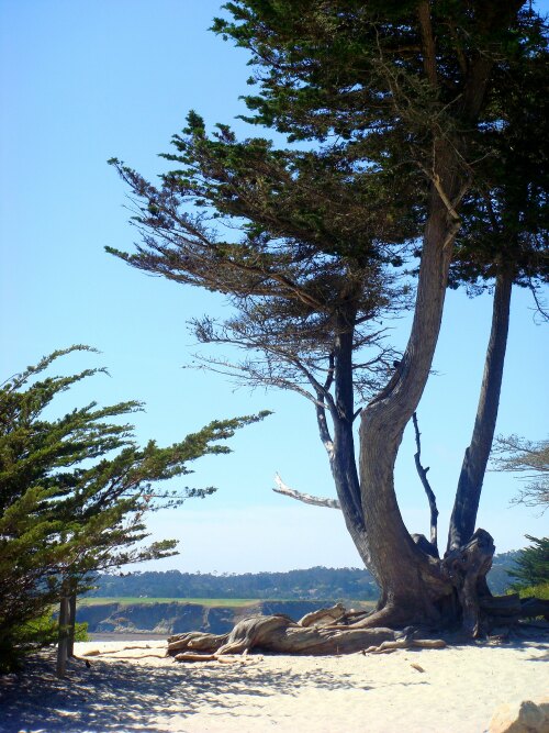 Carmel-by-the-Sea United States (US)