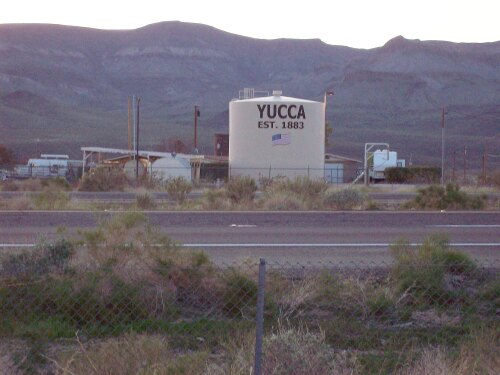 Yucca United States (US)