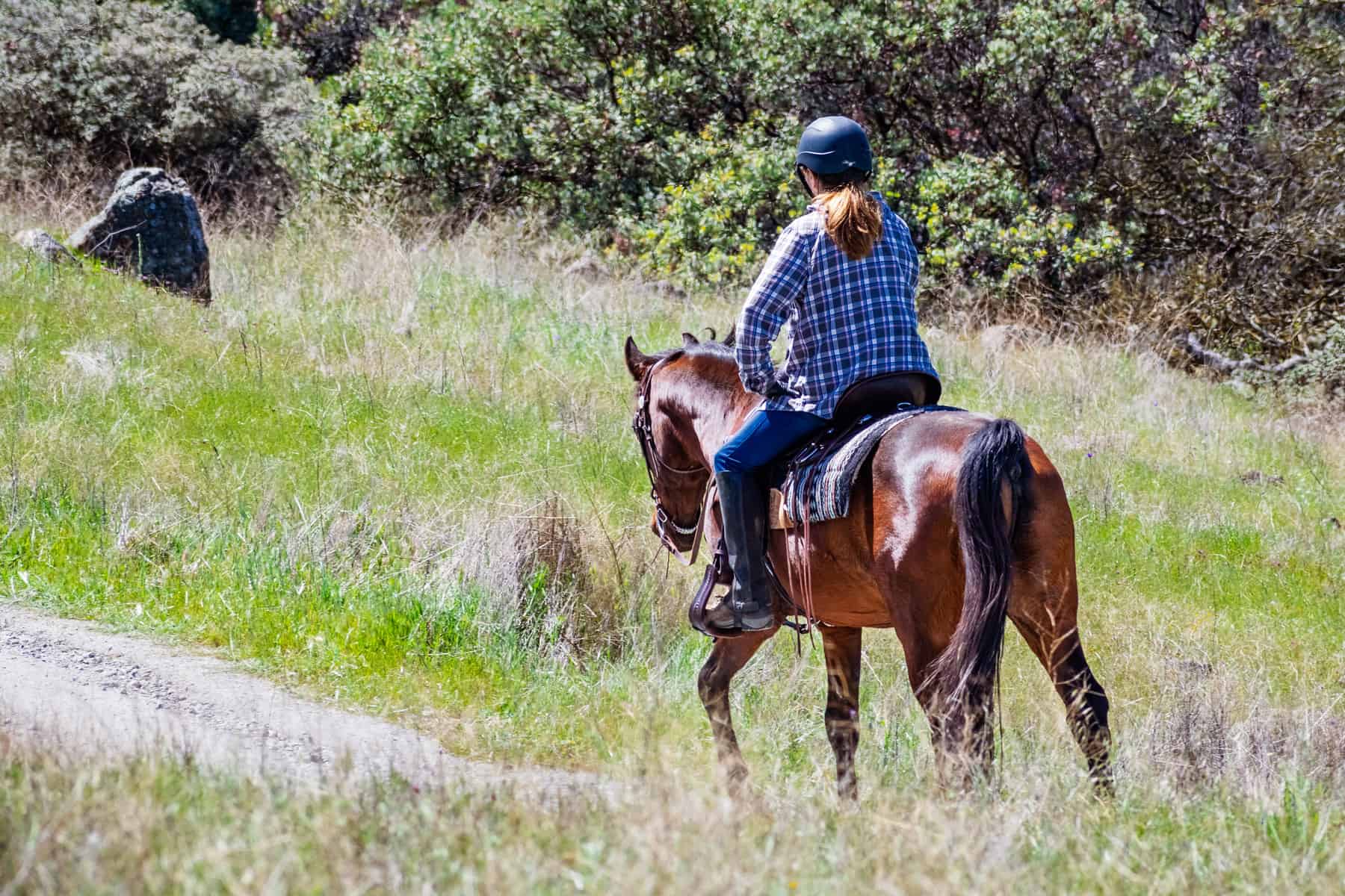 trip to horse trail|horse trails travel planner app