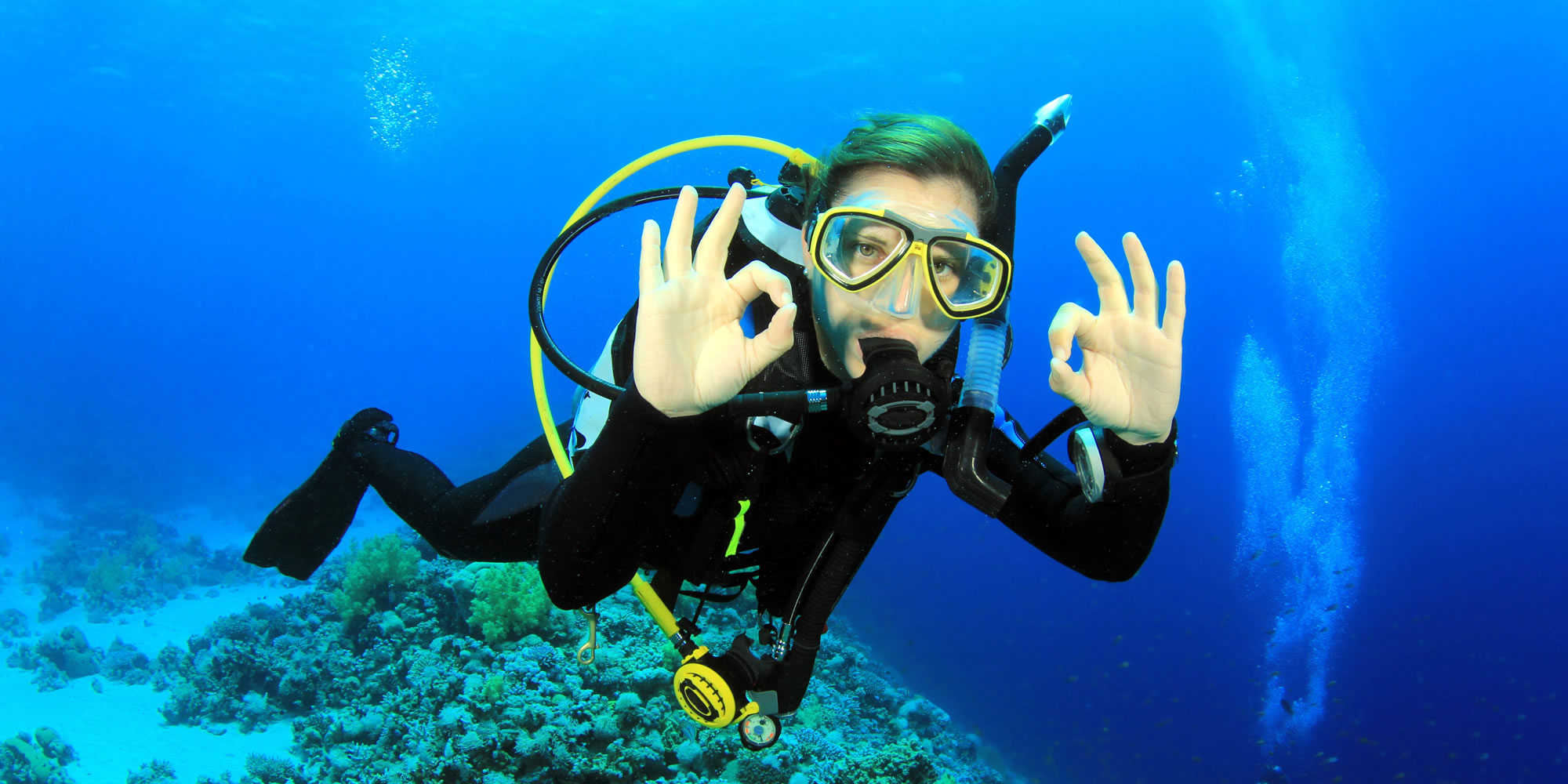 trip to dive|diving travel planner app